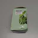 LePe Crushed Fire Glass, Translucent Broken GlassDecorative for Resin Art, Fire Pits, Potted Plants, Garden and Indoor Use, 3-6mm Fire Pit Glass, 1 Pound in Jar(Grey) (Gray)