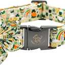 Elegant little tail St. Patrick's Dog Collar, Green Clover Dog Collars Cute Pet Gift Cute Puppy Flower Adjustable Pet Collars for Small Dogs (Small (Pack of 1), B: Gold Lucky)
