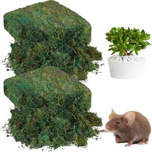 Zeyune 56.4 Oz Artificial Moss for Planters Fake Decor for Potted Plants Centerpieces Fresh Green Moss for Crafts Planter Filler for Plants Floral Mini Garden Grass for Terrarium Arts Wedding