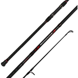 Fiblink Surf Spinning Fishing Rod 2-Piece Graphite Travel Fishing Rod (9 Feet)