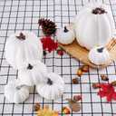 Artmag 8 Pcs Assorted Sizes Harvest White Artificial Pumpkins for Fall Halloween Thanksgiving Decorating Embellishing and Displaying