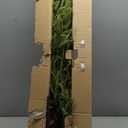 Real Touch Christmas Cedar Garland -9ft Artificial Garlands Faux Cedar Fake Pine Needles Garland for Fireplace,Table,Window,Stairs,Mante,Holiday Indoor Outdoor Xmas Decor(1PCS)