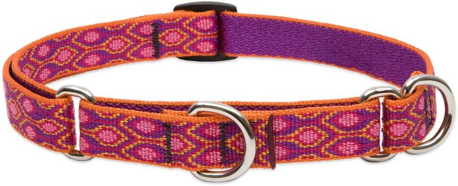 LupinePet Originals 3/4" Alpen Glow 14-20" Martingale Collar for Medium and Larger Dogs (3/4"W; 14-20"Neck)