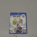 The Lord of the Rings: The War of the Rohirrim