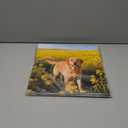 6 x 2026 Calendar, Wall Calendar 2026, Dogs 12 Month Wall Calendars (Jan - Dec 2026) 12" x 24" Opened, Hanging Monthly Calendar Thick Paper for Kids Family Adults Office Home