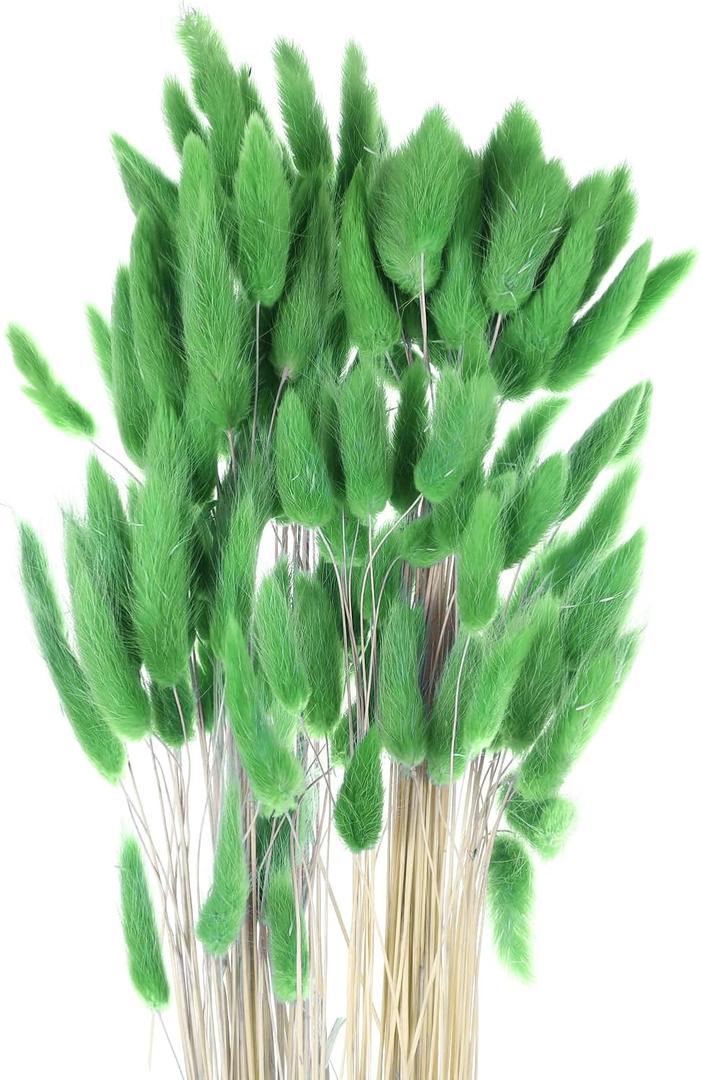 MECCANIXITY 120pcs Natural Rabbit Bunny Tails Dried Flowers 24" Mini Pampas Grass Lagurus Ovatus Bunch for Floral Wedding Decor Christmas, Dark Green