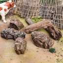 EOIVSH 7pcs Diorama Supplies Fake Rocks, Artificial Garden Figurines Tree Stump, Scene Accessories Stone Stumps Statue Ornaments for Micro Train Railway Sand Table Landscape