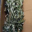 Realead Tall Faux Olive Tree 10ft with with Thick Trunk & Realistic Leaves