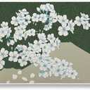 X-Raypad Aqua Control 2 Gaming Mouse Pad, Ultra-High Precision Mouse Pad with Perfect Speed and Control Capability, Consistent X and Y Glide, Designed for Fps Players with Low DPI Requirements (900*400*4mm, Green)