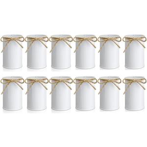 12pcs Rustic White Metal Farmhouse Vase Set with Twine Bow for Table Centerpiece