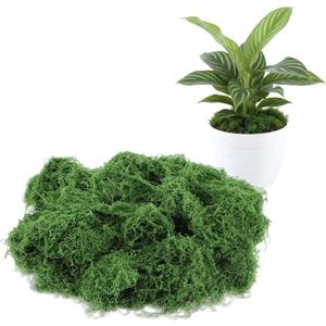7oz Fake Moss for Potted Plants Indoor - Artificial Moss for Crafts- Faux Moss Decor DIY Decorative, Fairy Garden, Model Making, Walls, Glass Containers, Home and Garden Projects | 200g