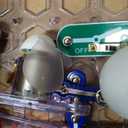 Snap Circuits Beginner, Electronics Exploration Kit, Stem Kit for Ages 5-9 (SCB-20)