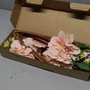 Silk Dahlia Artificial Flowers 24 Inch Long Stem - 5 Pack Fake Flowers for Wedding Bouquets,Home Decor,Spring Easter Flowers,Table Arrangements-Faux Dahlia Floral (Pink1)