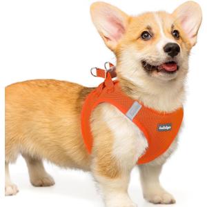 Rabbitgoo Small Dog Harness, Step-in Soft Mesh Puppy Vest with Safety Buckle, Breathable Reflective Pet Harness for Small Medium Dogs, Orange L (L(Chest:18.2"-20.5"))