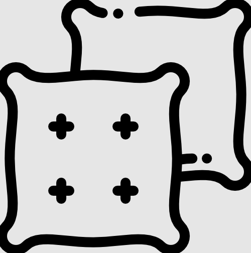 Two Cushions 24x24x5.5 and Two Pillows 23x20