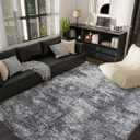 5x7 Washable Area Rug for Living Room, Non-Slip Soft Modern Abstract Large Carpet, Low Pile Neutral Rugs for Bedroom, Dining Room, Home Office, Dorm, Indoor Decor, Black and Grey