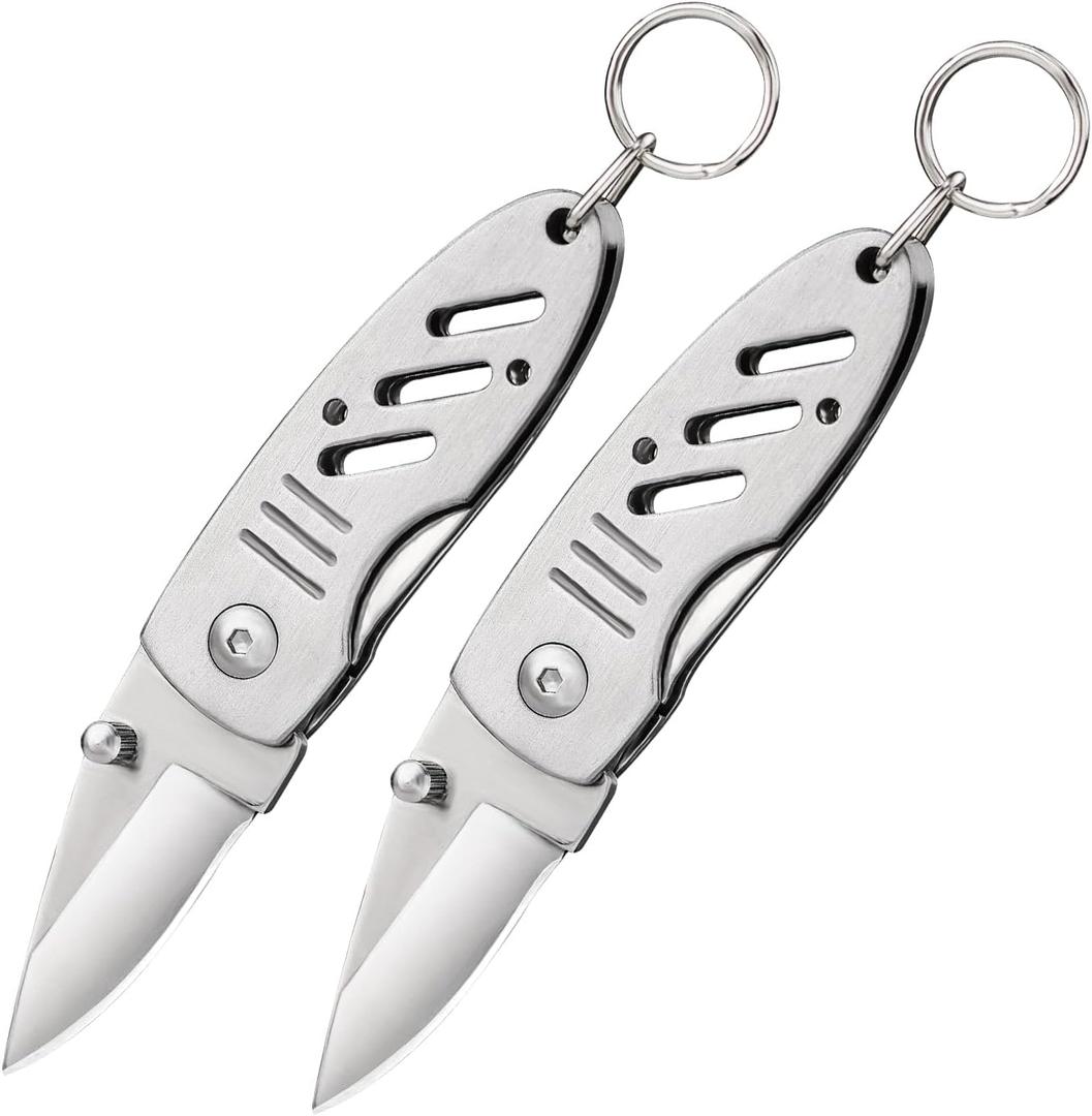 Mini Keychain Knife, 2pcs Small Folding Pocket Knives with Liner Lock, 1.6 Inch Blade, Every Day Carry Tool for Father's Day Gift (Silver)