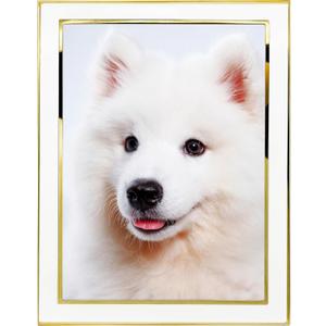 8x10 Picture Frames White Metal Photo Frames For Tabletop Display and Wall Decoration-Best Gifts For Family