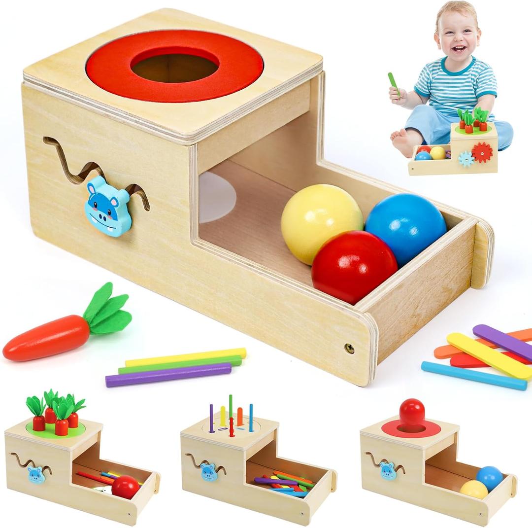 Montessori Toys for 1 Year Old, 6 in 1 Wooden Toys for Baby Boy Girl, Object Permanence Box, Color&Shape Sorting Learning Matching Game, Carrot Harvest, Preschool Educational Gift (new coin box), Medium