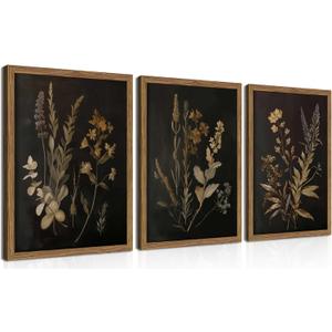 Framed Dark Botanical Wall Art Set of 3, Black Moody Floral Wall Decor Paintings, Dark Academia Decor, Vintage Flower Artwork Prints Pictures for Living Room Bedroom Bathroom 12x16 Inch, 16L" x 12W"