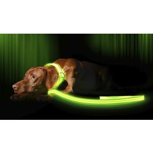 ILLUMISEEN LED Light Up Dog Leash | Ultra High Visibility Up to 350 Yards | 3 Lighting Modes | USB Rechargeable, No Batteries Needed | Padded Handle & Rotating Swivel Clasp to Prevent Leash Tangling (4 Feet, Neon Green)