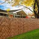 DearHouse Natural Reed Fencing, Eco-Friendly Reed Fence,5 feet High x 16.4 feet Long, Reed Screen for Garden, Privacy Fence