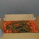 Hananona 36 Pcs Artificial Mum Flowers for Outdoors, Faux Fall Mums Silk Flower for Outside, Fake Orange Flowers for Fall Patio Front Door Planter Autumn Halloween Home Decorations (36, Orange)