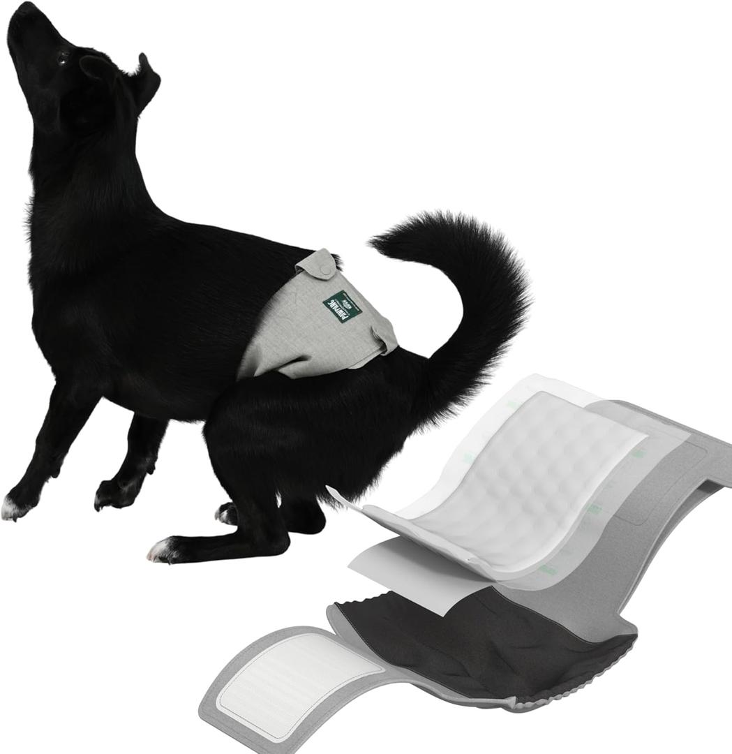 PAWPANG Copper Fit Mate Washable Male Dog Belly Band Kit  1 Reusable Male Wrap with 15 Dog Diaper Liners, Ideal for Senior Dogs, Incontinence, and Marking, M