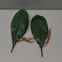 Fnize Faux Orchid Leaves Artificial Phalaenopsis Leaf Bulk 10 Inches 2pcs Real Touch Latex Cymbidium Stems Green Plant