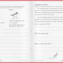 Learning Without Tears, Building Writers D, Student Edition, Age 8+, 3rd Grade+, Handwriting Without Tears, Narrative, Information & Opinion Writing, Fluency, School & Home, Tutoring