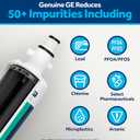 GE RPWFE Refrigerator Water Filter, Genuine Replacement Filter, Certified to Reduce Lead, Sulfur, and 50+ Other Impurities, Replace Every 6 Months for Best Results, Pack of 1