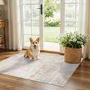 HAOYUNLAI 2x3 Entryway Area Rug: Washable Kitchen Bedroom Carpet Soft Abstract Laundry Bathroom Rugs with Non-Slip Backing Easy-Clean Distressed Home Decor Floor Mat for Pets Family (2x3,Beige/Cream)
