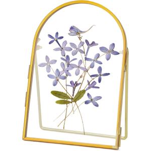 Double Glass Frame for Pressed Flowers Handmade, Metal Floating Picture Frame for Pressed Flower, Tabletop Display, Brass, ArcShaped, Gold, 4x6 inches (FRAME ONLY) (4L" x 6W")