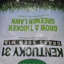 Scotts Kentucky 31 Grass Seed Mix for New Lawns or Overseeding, Grows Thicker and Greener vs. Other Kentucky 31 Mixes, Covers up to 10,000 sq. ft. (40 lb)