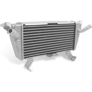 Aluminum Cooling Radiator Replacement for BMW S1000XR S1000RR S1000R 2019-2024 M1000RR 2021 2022 2023 2024 Engine Radiator Cooler