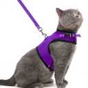 PUPTECK Soft Mesh Cat Vest Harness and Leash Set Puppy Padded Pet Harnesses Escape Proof for Cats Small Dogs Rabbits Bunny