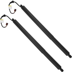 JDMON Rear Tailgate Liftgate Power Lift Support Struts Compatible with Hyundai Palisade 2020 2021 2022 Replace 81831S8100 81841S8100, Left and Right, 2PCS