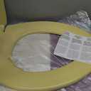 Bemis Classic Colors Slow Close Toilet Seat, Easy Clean Hinges and Durable Plastic Seat, Made in USA, Elongated, Harvest Gold