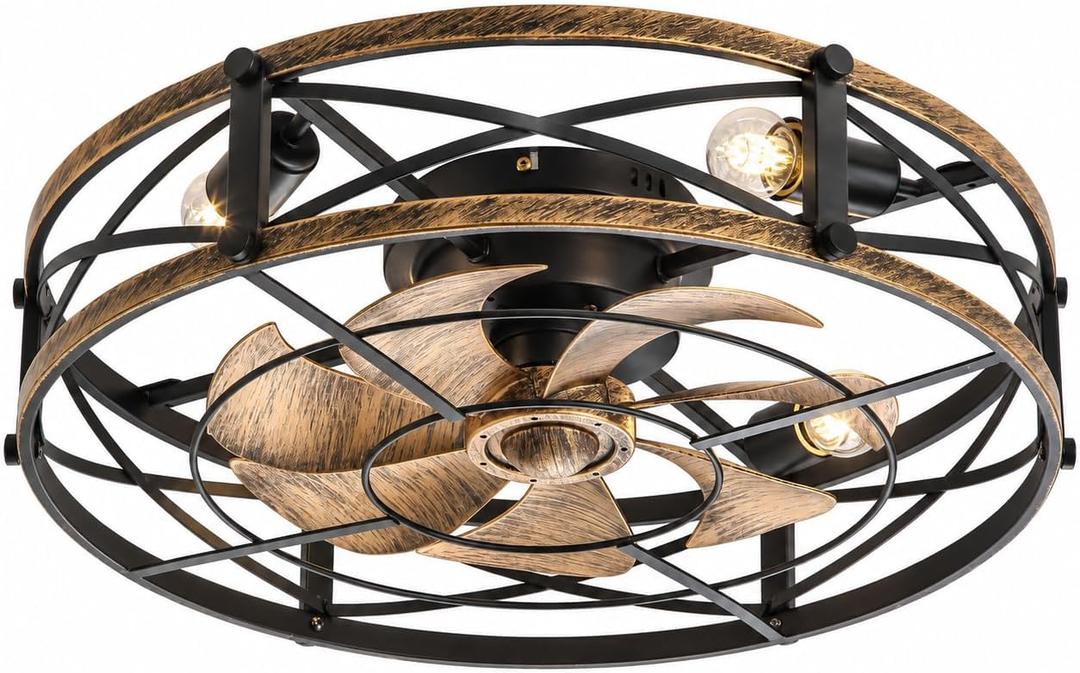 24" Low Profile Caged Ceiling Fan with Lights and Remote, Black Gold