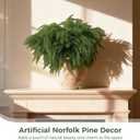 12 Pcs Artificial Norfolk Pine Christmas Branches, 17.8 Inch Ultra Realistic Faux Evergreen Picks for Christmas Garland Wreath Making, Home Decor & DIY Crafts