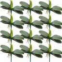 12 Pcs Faux Phalaenopsis Orchids Leaves Artificial Orchids Leaves 9 Inch Green Leaf Plants Green Faux Leaf Latex Cymbidium Stems for Flowers Arrangements Pot Decor