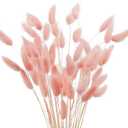 Uieke 17 Natural Bunny Tails Dried Flowers, 50 Pcs Dried Lagurus Ovatus, Dried Pink Pampas Grass Decor for Farmhouse Flower Arrangements Wedding Home Boho Party Decorations