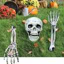 Halloween Skeleton Stakes Decorations, Realistic Skeleton Halloween Decor, Halloween Skeleton Head and Arms with a Stake for Halloween Yard Scary Skeleton Decor (Skeleton Stake 3pcs), Black