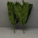 FOREST PRINCE
35" Ferns Artificial Bush Plants Large, 2 Artificial Boston Ferns with 39 Fronds for Outdoors Home Decor