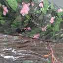 Expandable Fence Privacy Screen for Balcony Patio Outdoor,Decorative Faux Ivy Fencing Panel,Artificial Hedges