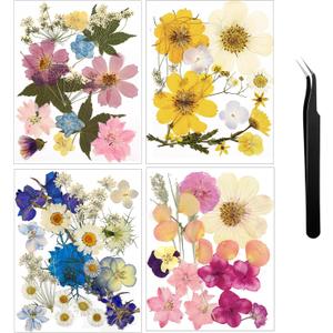 Nuanchu Pressed Flowers Bulk Dried Flower for Crafts, Dried Wildflowers Leave Natural with Tweezer for Resin Mold Scrapbooking Nail Soap Making DIY (Watercolor Style,Romantic Color)