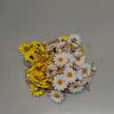 Sucrain 2pcs Flower Hippie Headband Floral Crown Summer Sunflower Hair Accessories for 70 s Bohemian Costumes Style for Women (White+Yellow)