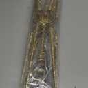 15 Inch Christmas Tree Star Topper with 150 LED Timer Lights & Remote, 19-Point USB Powered Lighted Gold Starburst Star Tree Topper for Indoor Holiday Party Xmas Tree Decor