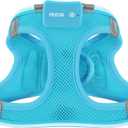 Light Up Dog Harness,Rechargeable LED Dog Harness for Small Medium Large Dogs,Reflective Lighted Safety Vest for Night Walking & Camping,Lightweight & Adjustable,Blue,XS