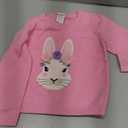 Gymboree Girls and Toddler Long Sleeve Embroidered Crew Neck Pullover Sweater (12-18 Months, Pink Bunny)
